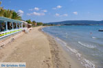 JustGreece.com Gialova | Messenia Peloponnese | Photo 12 - Foto van JustGreece.com