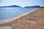 JustGreece.com Gialova | Messenia Peloponnese | Photo 15 - Foto van JustGreece.com