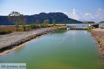 JustGreece.com Gialova | Messenia Peloponnese | Photo 19 - Foto van JustGreece.com