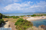 JustGreece.com Near Gialova and Voidokilia | Messenia Peloponnese | Photo 9 - Foto van JustGreece.com