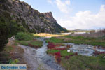 Near Gialova and Voidokilia | Messenia Peloponnese | Photo 11 - Foto van JustGreece.com