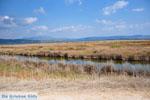 Near Gialova and Voidokilia | Messenia Peloponnese | Photo 18 - Photo JustGreece.com