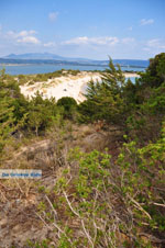 Near Gialova and Voidokilia | Messenia Peloponnese | Photo 19 - Photo JustGreece.com