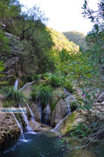 Waterfalls Polilimnio | Messenia Peloponnese | Photo 18 - Photo JustGreece.com