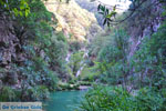 JustGreece.com Waterfalls Polilimnio | Messenia Peloponnese | Photo 22 - Foto van JustGreece.com