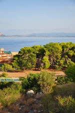 JustGreece.com Pylos (Navarino) | Messenia Peloponnese | Photo 103 - Foto van JustGreece.com