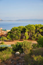 Pylos (Navarino) | Messenia Peloponnese | Photo 103 - Photo JustGreece.com