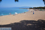 JustGreece.com Kyparissia | Messenia Peloponnese | Photo 7 - Foto van JustGreece.com