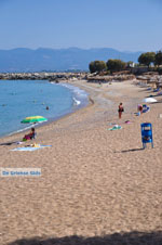 JustGreece.com Kyparissia | Messenia Peloponnese | Photo 8 - Foto van JustGreece.com