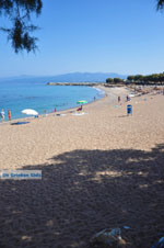 JustGreece.com Kyparissia | Messenia Peloponnese | Photo 10 - Foto van JustGreece.com