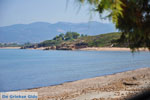 JustGreece.com Kyparissia | Messenia Peloponnese | Photo 13 - Foto van JustGreece.com