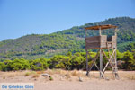 Agiannakis beach | Messenia Peloponnese | Photo 11 - Photo JustGreece.com
