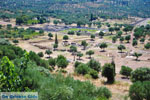 JustGreece.com Ancient Messini Ithomi | Messenia Peloponnese | Photo 4 - Foto van JustGreece.com