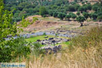 Ancient Messini Ithomi | Messenia Peloponnese | Photo 17 - Photo JustGreece.com