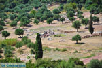 JustGreece.com Ancient Messini Ithomi | Messenia Peloponnese | Photo 19 - Foto van JustGreece.com