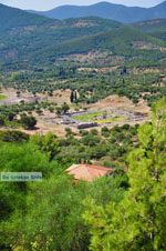 JustGreece.com Ancient Messini Ithomi | Messenia Peloponnese | Photo 23 - Foto van JustGreece.com