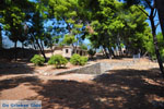 Kalamata | Messenia Peloponnese | Greece  39 - Photo JustGreece.com