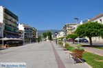 Kalamata | Messenia Peloponnese | Greece  50 - Photo JustGreece.com