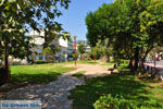 Kalamata | Messenia Peloponnese | Greece  54 - Photo JustGreece.com