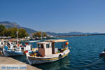 Kalamata | Messenia Peloponnese | Greece  66 - Photo JustGreece.com