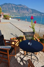 JustGreece.com Kalamata | Messenia Peloponnese | Greece  67 - Foto van JustGreece.com