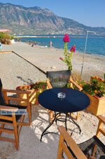 Kalamata | Messenia Peloponnese | Greece  68 - Photo JustGreece.com