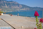 JustGreece.com Kalamata | Messenia Peloponnese | Greece  69 - Foto van JustGreece.com