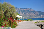 JustGreece.com Kalamata | Messenia Peloponnese | Greece  70 - Foto van JustGreece.com