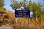 JustGreece.com Mystras (Mistras) | Lakonia Peloponnese | Greece  1 - Foto van JustGreece.com