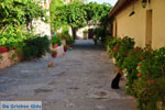 JustGreece.com Mystras (Mistras) | Lakonia Peloponnese | Greece  32 - Foto van JustGreece.com