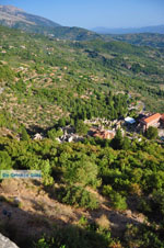 Mystras (Mistras) | Lakonia Peloponnese | Greece  64 - Photo JustGreece.com