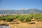 JustGreece.com Sparta (Sparti) | Lakonia Peloponnese | Greece  1 - Foto van JustGreece.com