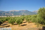 Sparta (Sparti) | Lakonia Peloponnese | Greece  2 - Photo JustGreece.com