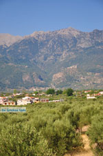 JustGreece.com Sparta (Sparti) | Lakonia Peloponnese | Greece  4 - Foto van JustGreece.com