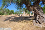 Ancient-Sparta (Archaia Sparti) | Lakonia Peloponnese | 6 - Photo JustGreece.com