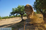 JustGreece.com Ancient-Sparta (Archaia Sparti) | Lakonia Peloponnese | 12 - Foto van JustGreece.com