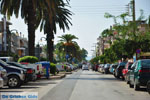 JustGreece.com Sparta (Sparti) | Lakonia Peloponnese | Greece  7 - Foto van JustGreece.com