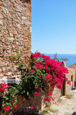 Monemvasia (Monemvassia) | Lakonia Peloponnese | Greece  101 - Photo JustGreece.com