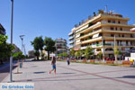 Kalamata | Messenia Peloponnese | Greece  91 - Photo JustGreece.com