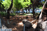 Xylokastro | Corinthia Peloponnese | Greece  17 - Photo JustGreece.com