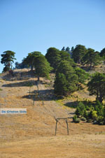 JustGreece.com Mountain villages Ziria | Corinthia Peloponnese | Greece  8 - Foto van JustGreece.com