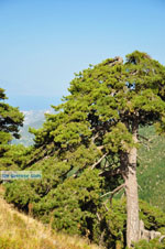 JustGreece.com Mountain villages Ziria | Corinthia Peloponnese | Greece  9 - Foto van JustGreece.com