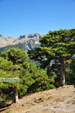 Mountain villages Ziria | Corinthia Peloponnese | Greece  10 - Photo JustGreece.com
