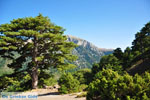 Mountain villages Ziria | Corinthia Peloponnese | Greece  12 - Photo JustGreece.com