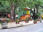 JustGreece.com Hania Pelion - Greece - Photo 8 - Foto van JustGreece.com