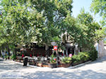 JustGreece.com Kala Nera Pelion - Greece  - Photo 11 - Foto van JustGreece.com