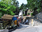 JustGreece.com Makrinitsa Pelion - Greece - Photo 11 - Foto van JustGreece.com