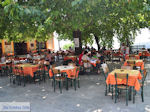 JustGreece.com Milies Pelion - Greece - Photo 40 - Foto van JustGreece.com