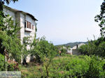 Vizitsa Pelion - Greece - Photo 17 - Foto van JustGreece.com