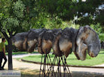 Volos Magnesia - Greece - Photo 17 - Photo JustGreece.com
